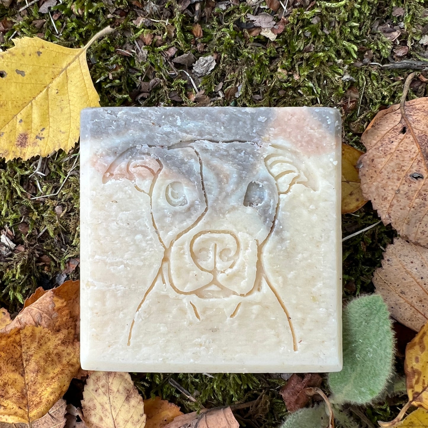 Free Sample, Pete's Pet Soap