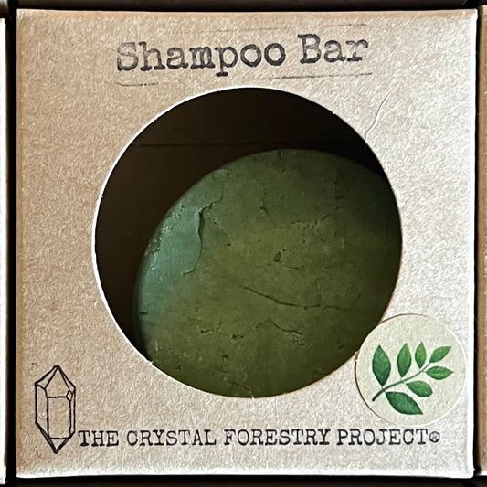 Shampoo Bar