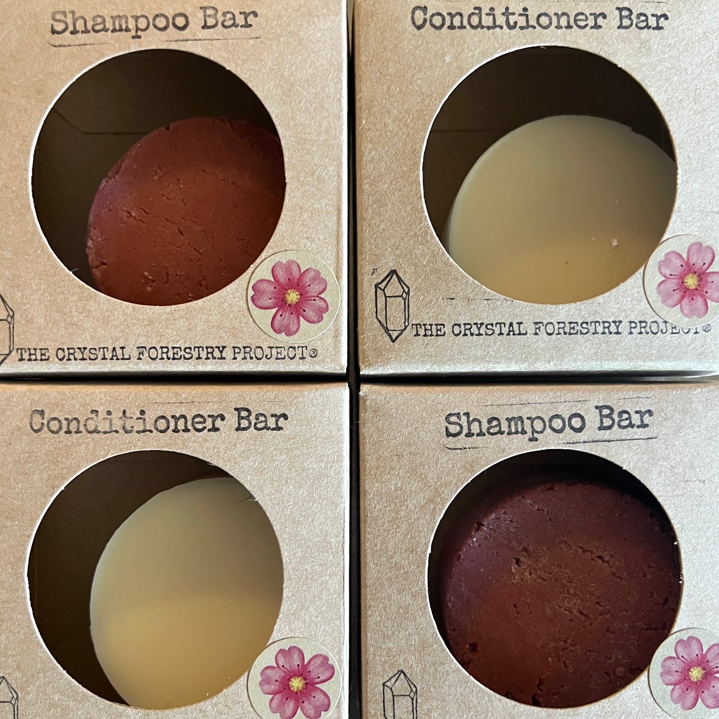 Shampoo Bar