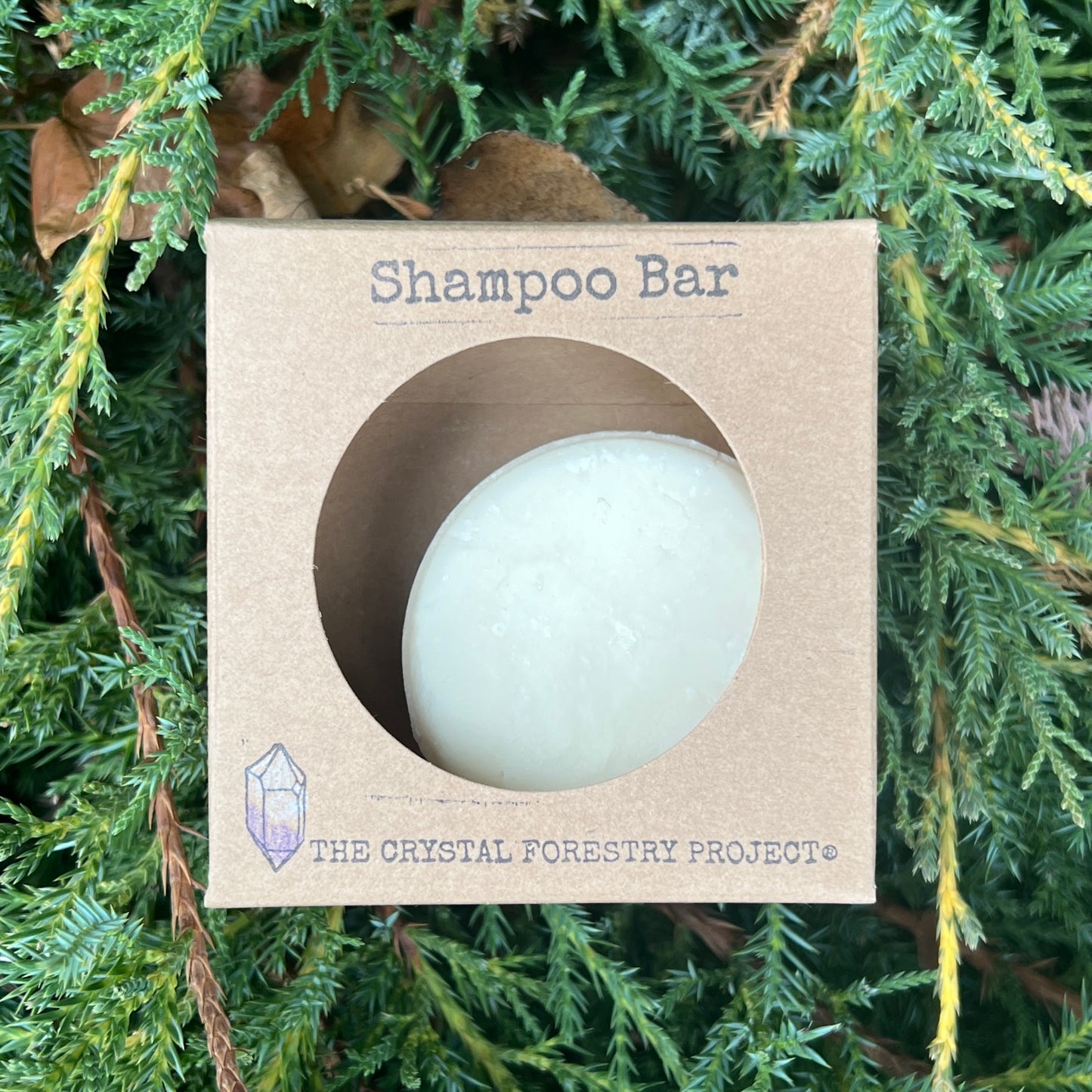 Shampoo Bar