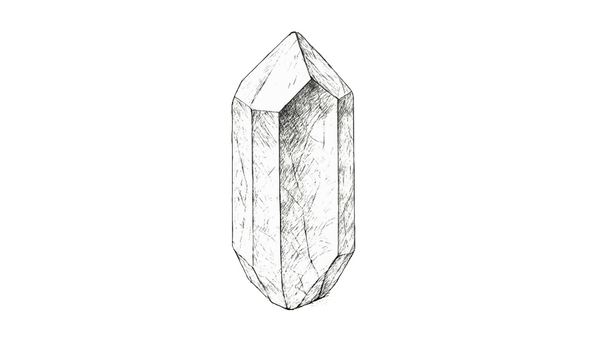 The Crystal Forestry Project