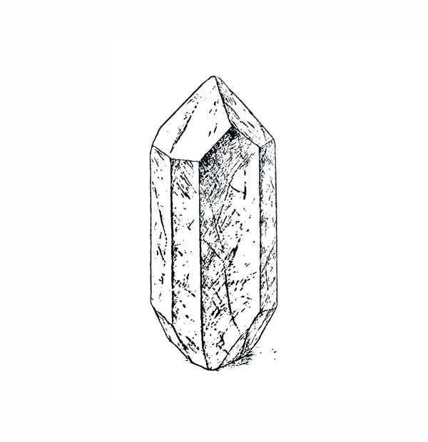 The Crystal Forestry Project
